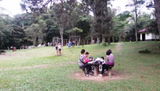 Fazendo piquenique no Parque da Cantareira