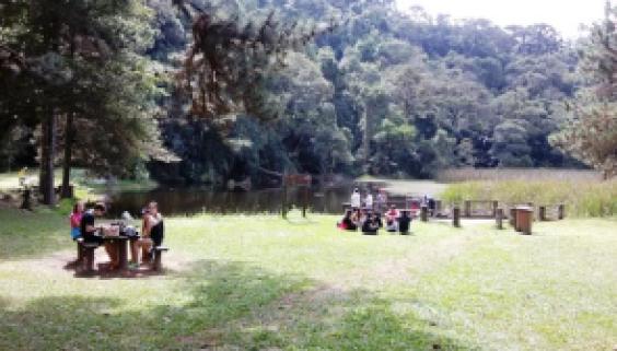 Lago das carpas no Parque da Cantareira